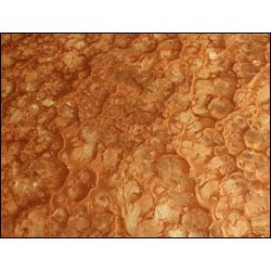 Pure Metallic Epoxy Floor Kit - Autumn Blush / Gold Lion 600 sq/ft - Click Image to Close