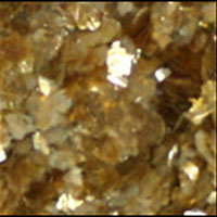 Gold Metallic Mica 1/16" Flakes