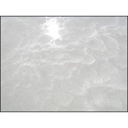 White Metallic Epoxy Floor