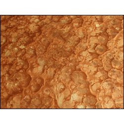 Pure Metallic Epoxy Floor Kit - Autumn Blush / Gold Lion 200 sq/ft