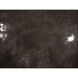 Pure Metallic Epoxy Floor Kit - Garage Coating - Obsidian Silver 1000 sq/ft Pure Metallic Epoxy Floor Kit - Garage Coating - Obsidian Silver 1000 sq/ft